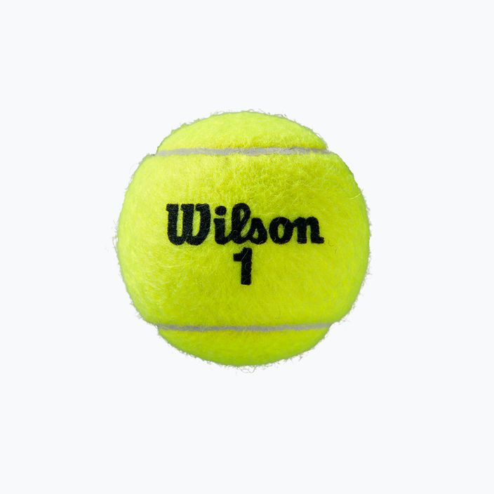Wilson Roland Garros All Ct tenisové loptičky 3 ks žlté WRT126400 2