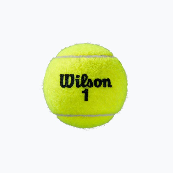 Wilson Roland Garros Clay Ct tenisové loptičky 4 ks žlté WRT115000 3