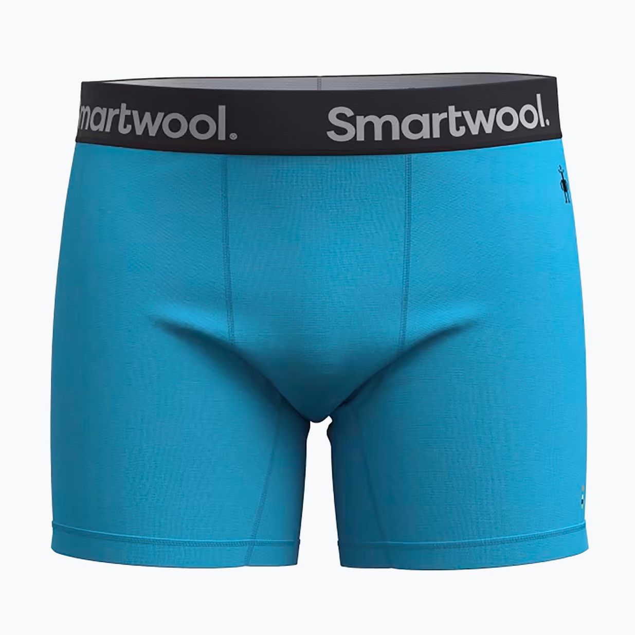 Pánske termo boxerky Smartwool Merino Boxer Brief pool blue