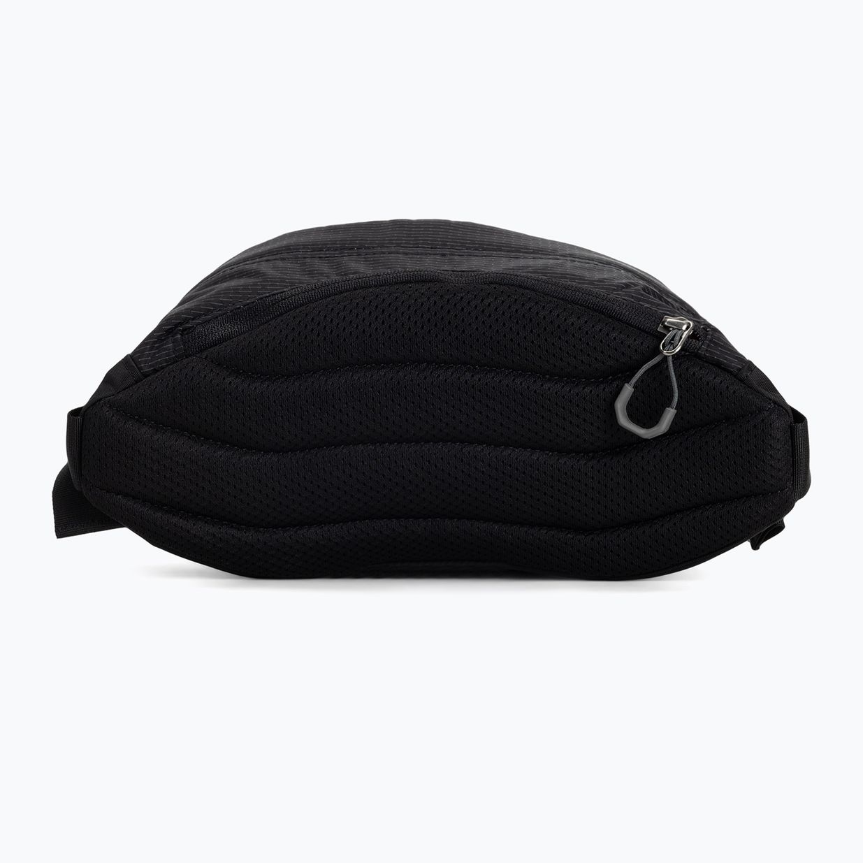 Ľadvinka Gregory Nano Waistpack obsidian black 7