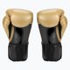Zlaté boxerské rukavice EVERLAST Pro Style Elite 2 EV2500 2