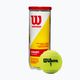 Wilson Champ Xd Tball tenisové loptičky 3 ks žlté WRT100101