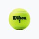 Wilson Champ Xd Tball tenisové loptičky 3 ks žlté WRT100101 2
