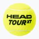 Tenisové loptičky HEAD Tour XT 4 ks žlté 570824 2
