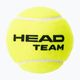 HEAD Team tenisové loptičky 4 ks žlté 575704 2