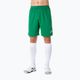 Pánske futbalové šortky Joma Nobel green 100053 6