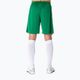 Pánske futbalové šortky Joma Nobel green 100053 7