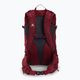 Salomon Trailblazer 3 l turistický batoh červený LC1525 3