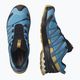 Pánska bežecká obuv Salomon XA Pro 3D V8 L41439900 14
