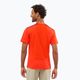 Pánske trekingové tričko Salomon Outline SS červené LC17152 2