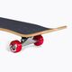 Klasický skateboard Santa Cruz Classic Dot Mid 7.8 green 118731 7