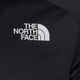 Pánske trekingové tričko The North Face Ma black NF0A5IEUPH51 3
