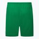 Pánske futbalové šortky Nike Dry-Fit Park III green BV6855-302 2
