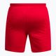 Pánske tréningové šortky Nike Dri-Fit Park III červené BV6855-657 2