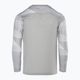 Detské brankárske tričko Nike Dri-FIT Park IV pewter grey/white/black 2