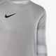 Detské brankárske tričko Nike Dri-FIT Park IV pewter grey/white/black 3