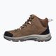 Dámske trekové topánky SKECHERS Trego Alpine Trail brown/natural 9