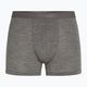 Pánske termo boxerky Icebreaker Merino 125 Cool-Lite Anatomica gritstone heather