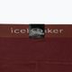 Dámske termo nohavice Icebreaker 200 Oasis brown IB1043830641 10