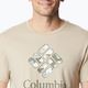 Columbia Rapid Ridge Graphic pánske trekové tričko béžové 1888813273 3