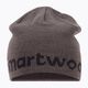Zimná čiapka Smartwool Smartwool Lid Logo šedá 11441-G57 2