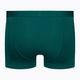 Pánske termo boxerky Icebreaker Anatomica Cool-Lite green 105223 2