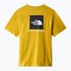 Pánske trekingové tričko The North Face Redbox yellow NF0A2TX276S1 10
