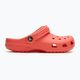 Žabky Crocs Classic neon watermelon 3