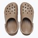 Žabky Crocs Classic latte 5