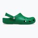 Žabky Crocs Classic green ivy 2