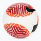 Nike Pitch white/black/bright crimson veľkosť 5 futbal 2