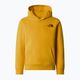 Detská mikina The North Face Teen Redbox Regular P/O summit gold 3