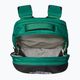 Turistický batoh The North Face Borealis 28 l evergreen/black 4