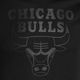 Pánske tričko New Era NOS NBA Regular Tee Chicago Bulls 60416757 black 3