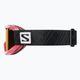 Detské lyžiarske okuliare Salomon Juke Access pink/tonic orange L391375 8