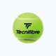 Tecnifibre Club Pet tenisové loptičky 4 ks žlté 60CLUB364N 2