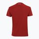 Pánske tenisové tričko Tecnifibre Team Tech Tee červené 22TETECR33 3