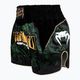 Tréningové šortky Venum Attack Muay Thai čierna/zelená 3