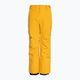 Detské snowboardové nohavice Quiksilver Estate Youth mineral yellow 5