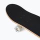 Playlife Mighty Bear klasický skateboard 880309 6