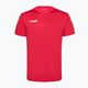 Pánske tréningové futbalové tričko Capelli Basics I Adult červené