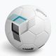 Capelli Tribeca Metro Competition Hybrid Football AGE-5882 veľkosť 5 4