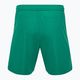 Detské futbalové šortky Capelli Sport Cs One Adult Match green/white 2