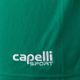 Detské futbalové šortky Capelli Sport Cs One Adult Match green/white 3