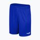 Capelli Sport Cs One Adult Futbalové šortky royal blue/white 4
