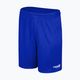 Capelli Sport Cs One Youth Match futbalové šortky kráľovská modrá/biela 4