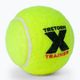 Tretorn X-Trainer 72 tenisových loptičiek žltá 3T44 474235 3