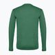 Pánske trekingové tričko Salewa Puez Melange Dry zelené 00-0000027453 2