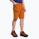 Salewa pánske trekingové šortky Puez 3 orange 00-0000027401