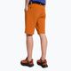 Salewa pánske trekingové šortky Puez 3 orange 00-0000027401 3